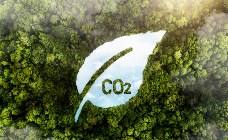 DESCARBONIZAÇÃO DO SETOR INDUSTRIAL COM FOCO EM CCS